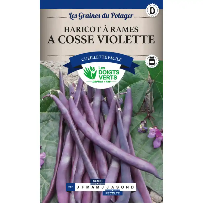 Haricot rame a cosses violettes – graines 200g – les doigts verts Commande En Gros