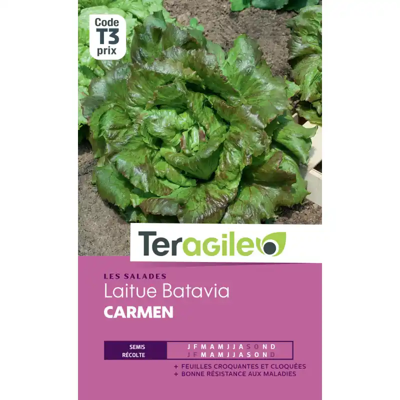 Laitue batavia carmen 1,20 g Produit De Marque