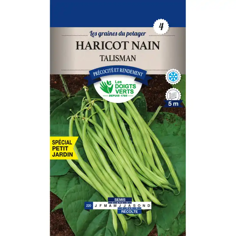 Commande En Gros Haricot nain talisman – sachet de graines 200g – les doigts verts
