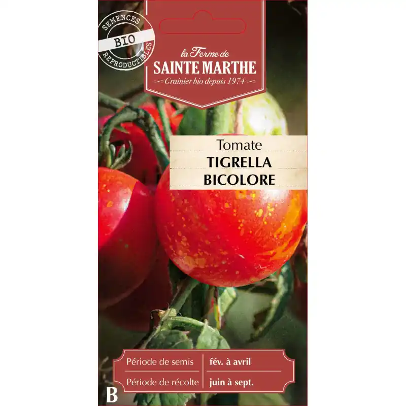 Super Prix Tomate tigrella bicolore bio de la ferme sainte marth – graines à semer