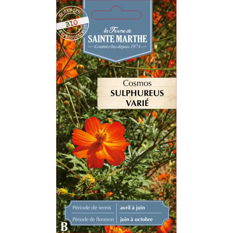 Commande En Gros Cosmos sulphureus bio – fleurs éclatantes de la ferme sainte marthe – graines à semer