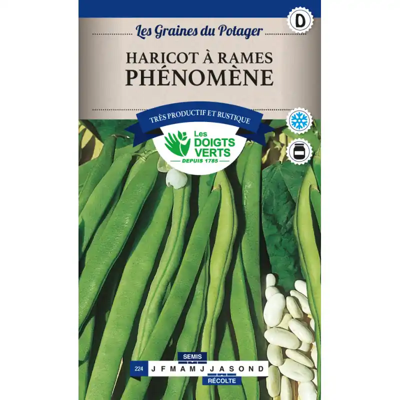Retour Gratuit Haricot rame phenomene – sachet de graines 200g – les doigts verts