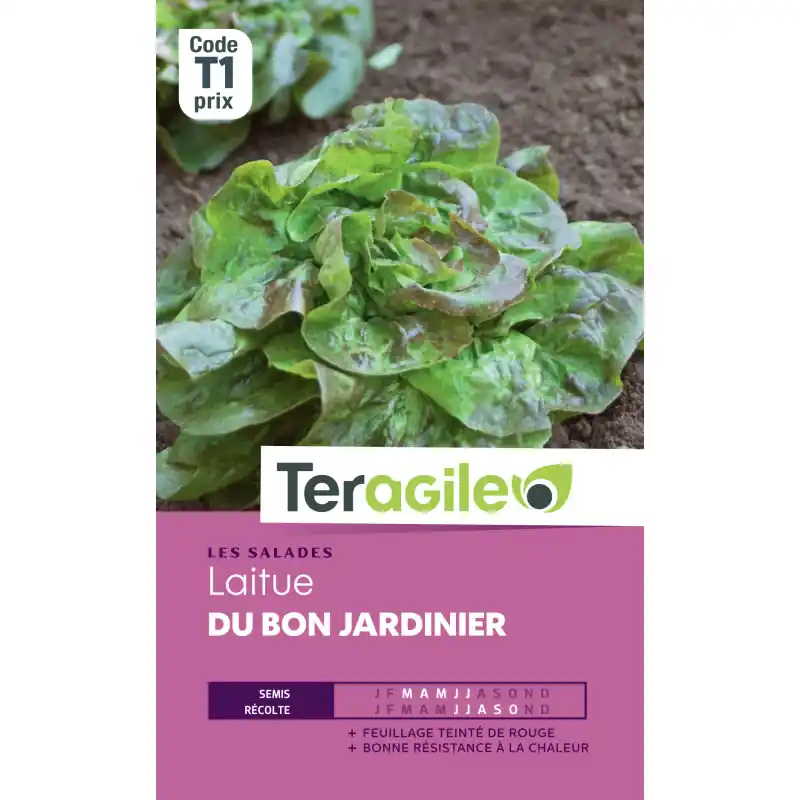 Nouvel Arrivage Laitue du bon jardinier t1 teragile