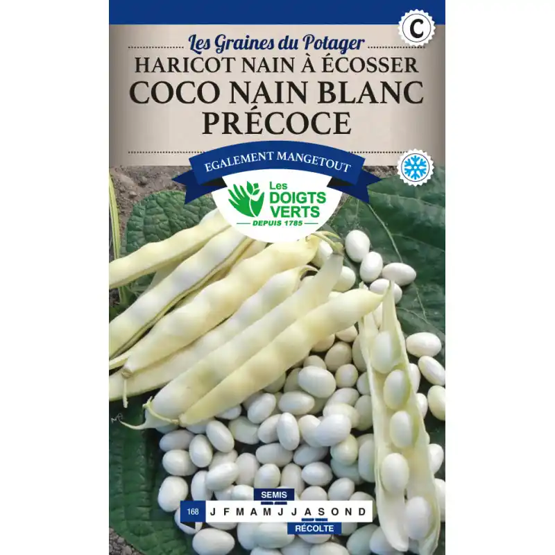 Commander Vite Haricot coco nain blanc precoce – graines 220g – les doigts verts