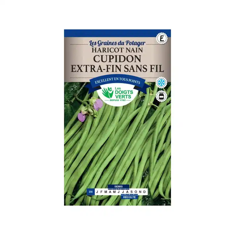 Seulement Aujourd'hui Haricot nain cupidon - sachet de graines 150g - les doigts verts