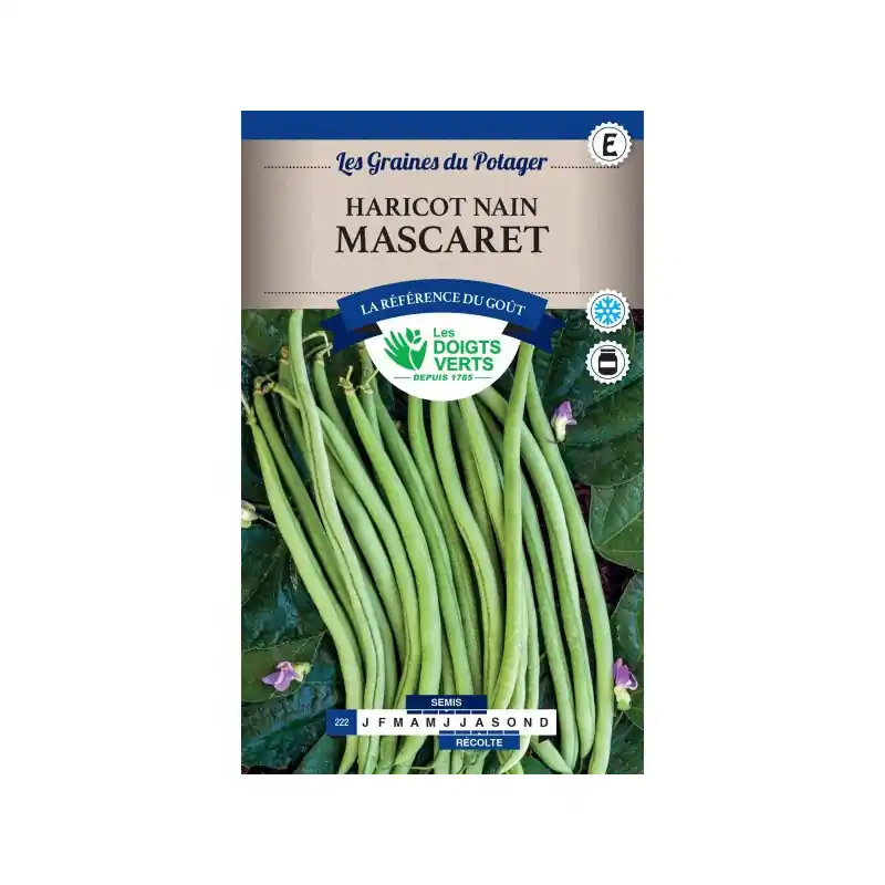Produit De Marque Haricot nain mascaret – sachet de graines 200g – les doigts verts