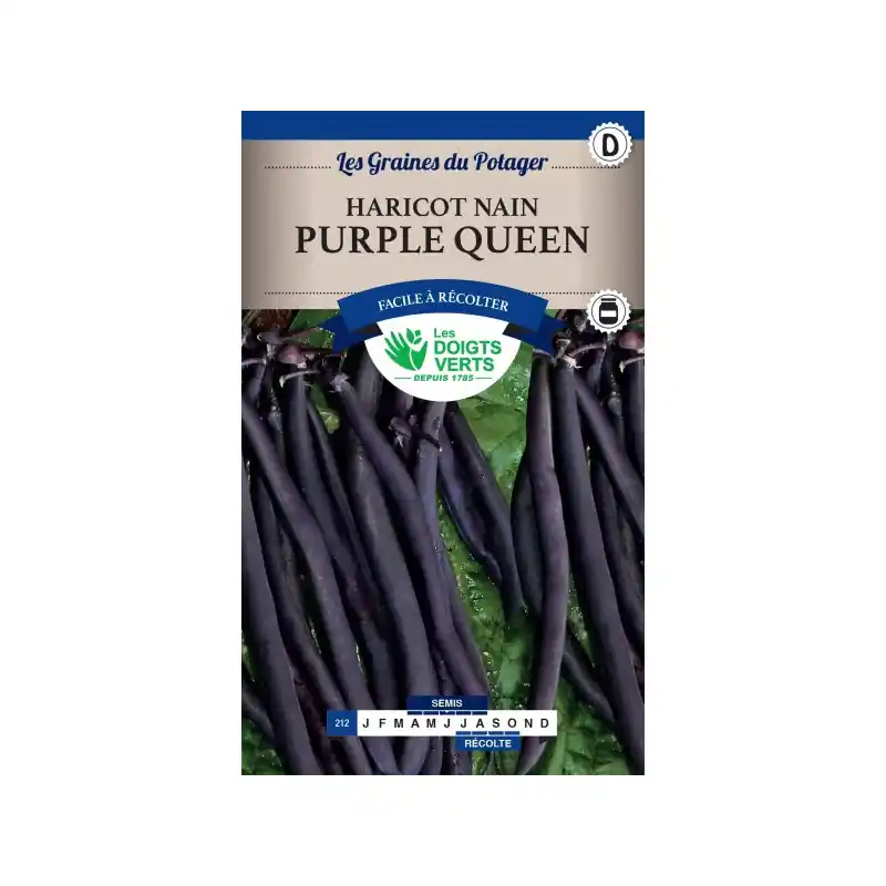 Prix Bas Haricot nain purple queen – graines 200g – les doigts verts