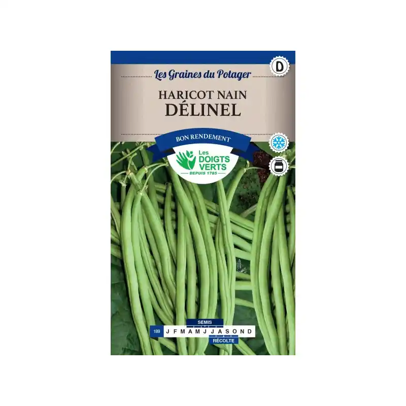 Expédié Aujourd&rsquo;hui Haricot nain delinel – sachet de graines 220g – les doigts verts