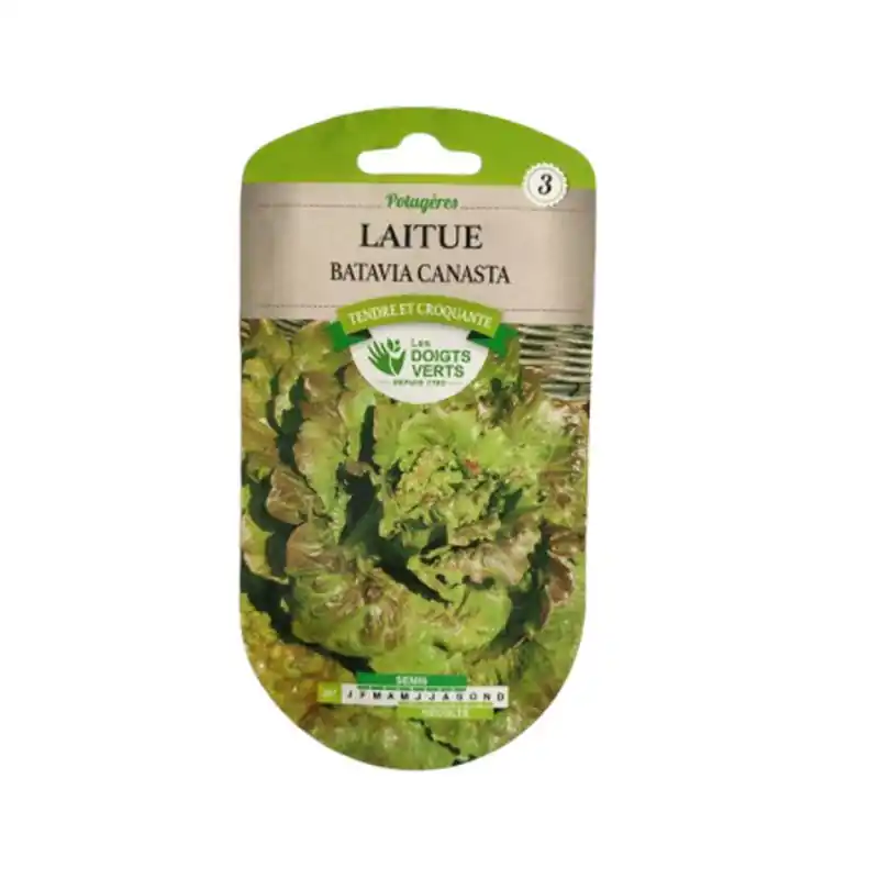Laitue batavia canasta - sachet de graines 2g - les doigts verts Commander Maintenant