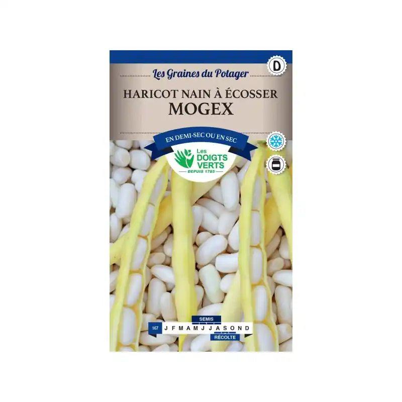 Haricot nain mogex – sachet de graines 200g – les doigts verts Top Vente