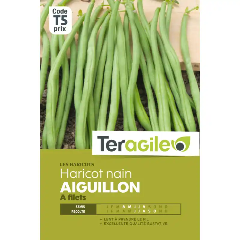 Nouveauté Haricot nain a filets aiguillon 200,00 g