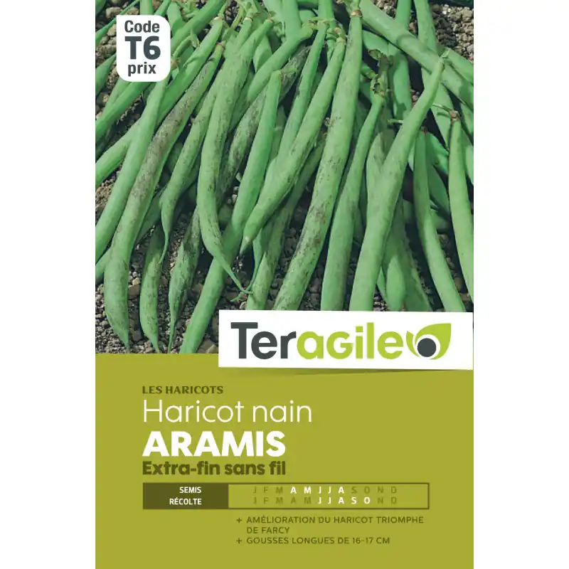 Pas Cher Haricot nain extra-fin sans fil aramis 200,00 g