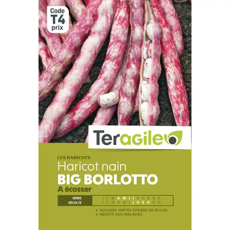 Prix Promo Haricot nain a ecosser big borlotto 200,00 g