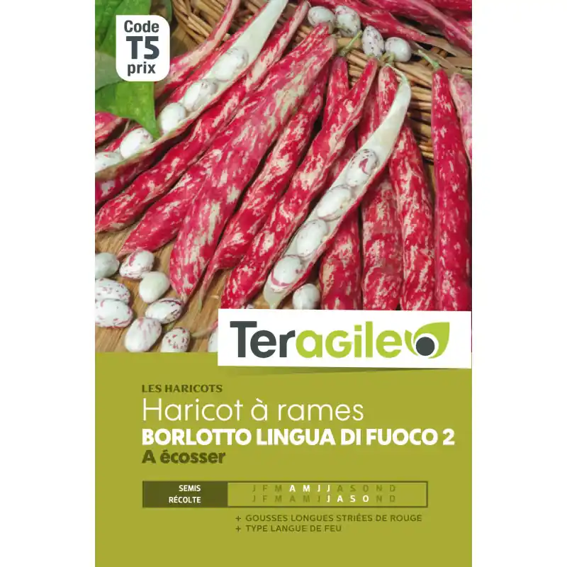 Haricot a rames a ecosser borlotto di fuoco 2 20 Vente Flash