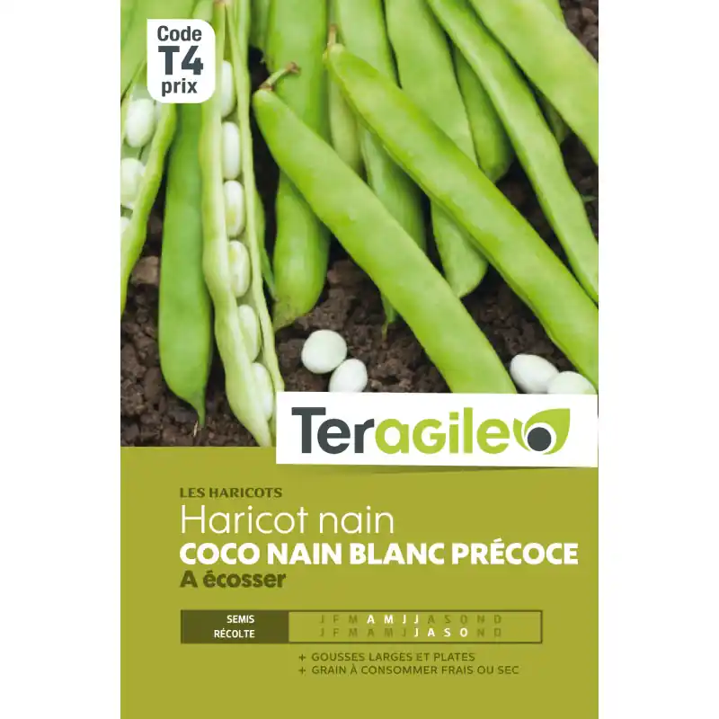 Meilleur Prix Haricot nain a ecosser coco nain blanc precoce 2