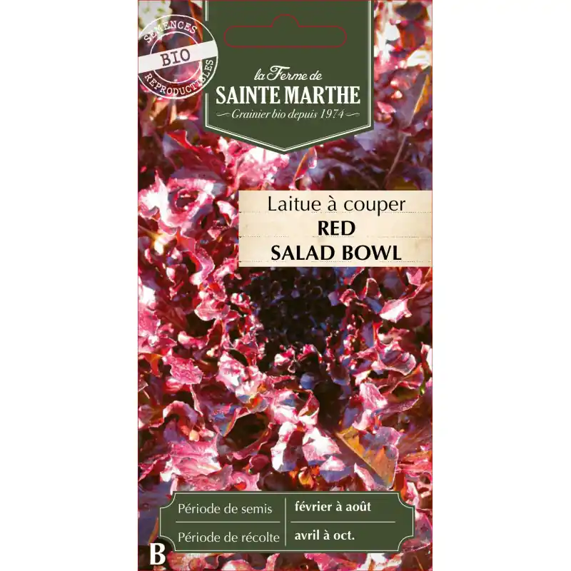 Laitue à couper red salad bowl bio sainte marth – graines à semer Bon Plan