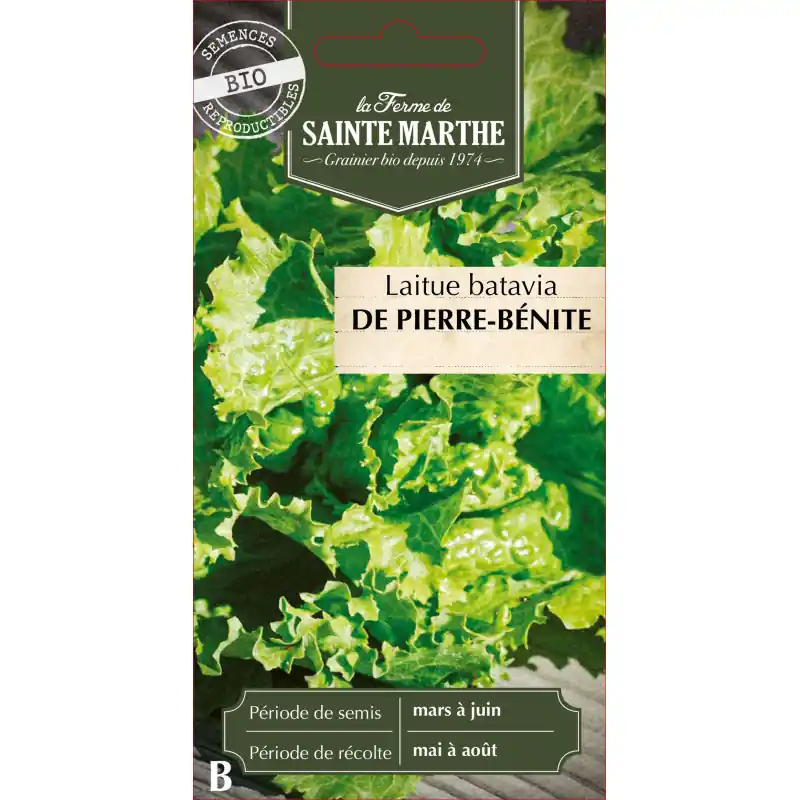 Seulement Aujourd&rsquo;hui Laitue batavia pierre benite bio – semences de qualité sainte marthe – graines à semer