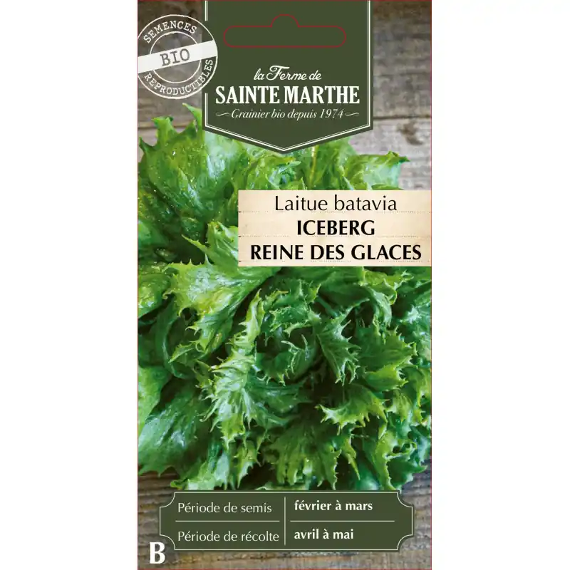 Laitue batavia reine des glaces bio de sainte marthe pour un jardin florissant – graines à semer Acheter En Ligne