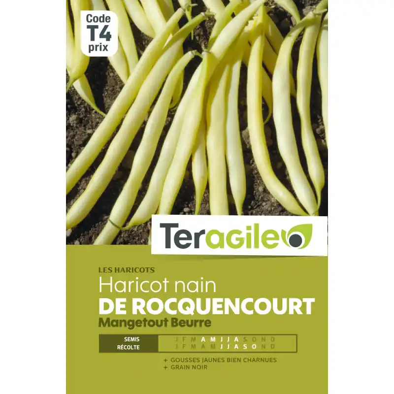 Haricot nain mangetout beurre de rocquencourt Meilleur Choix