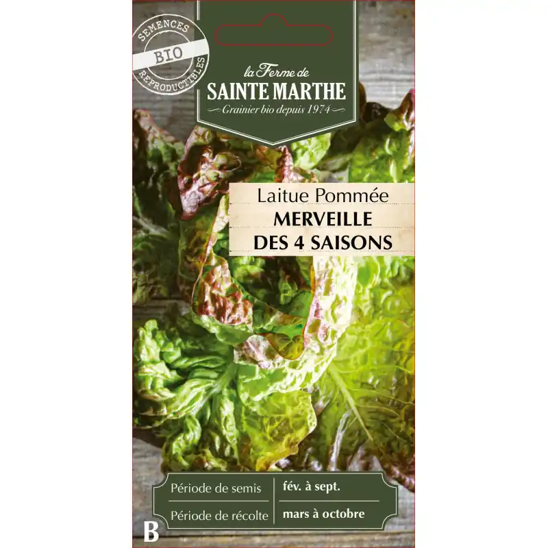 Laitue pomme merveille 4 saisons bio - semences sainte marthe - graines à semer Jusqu'à Épuisement Des Stocks