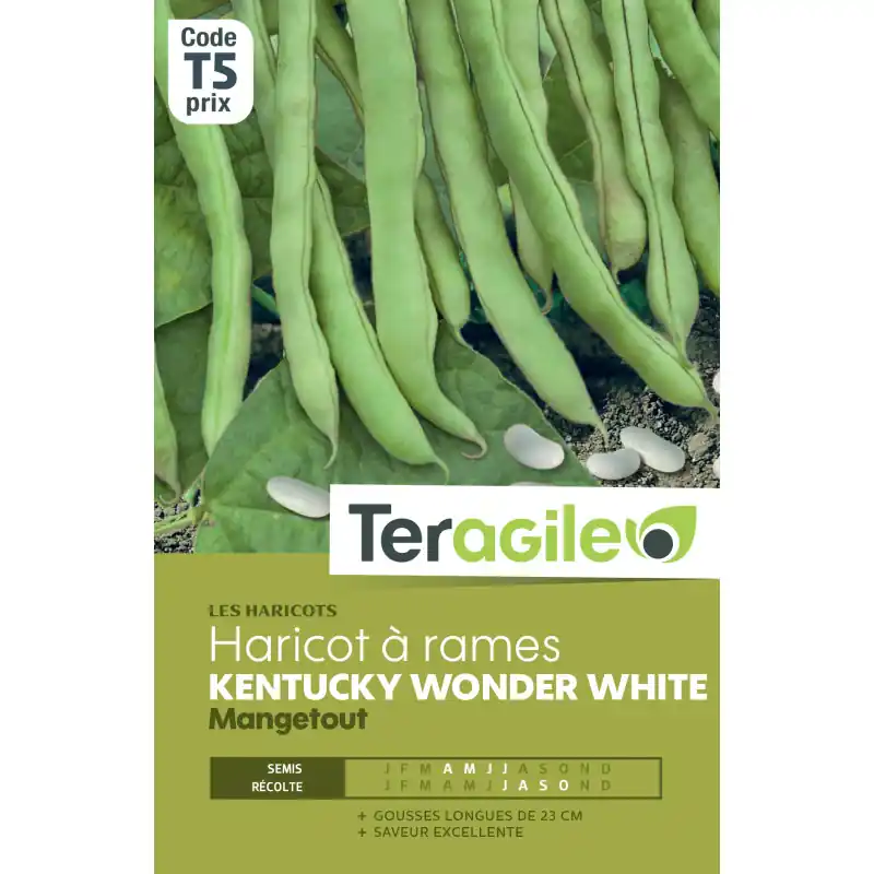 Haricot a rames kentucky wonder white 200,00 g Commander Vite