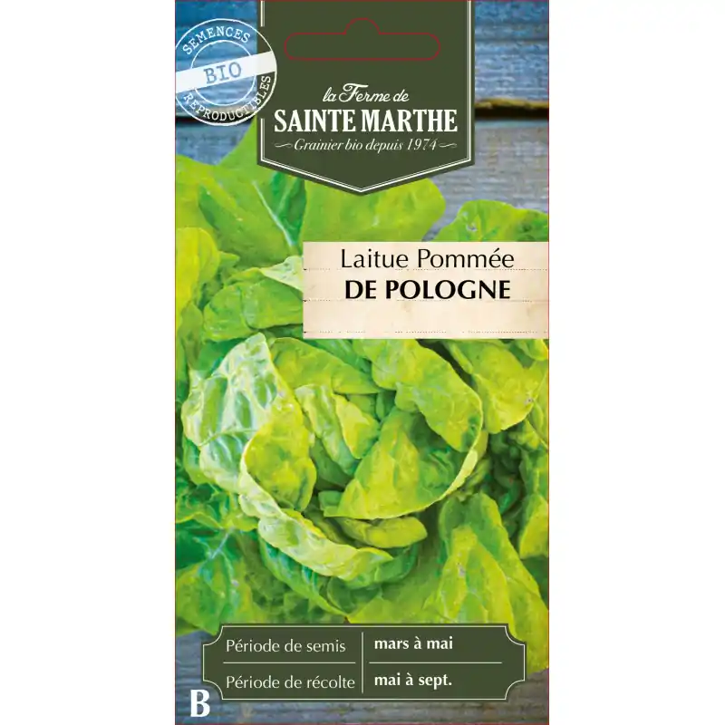 Meilleure Vente Laitue pommee bio de pologne – ferme sainte marth, fraîcheur et saveur – graines à semer