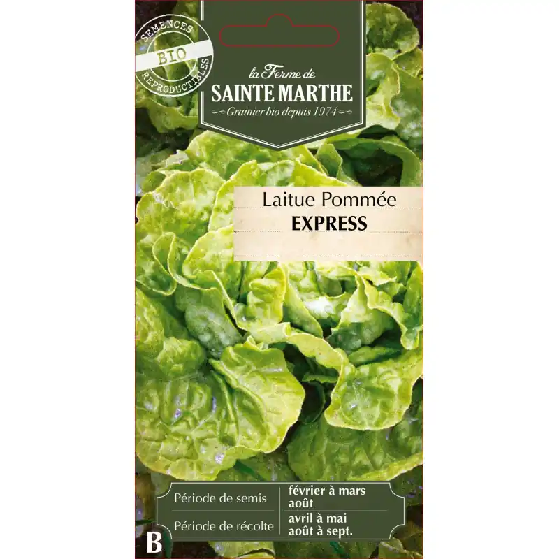 Commande En Gros Laitue pommee express bio – fraîcheur de la ferme sainte marthe – graines à semer