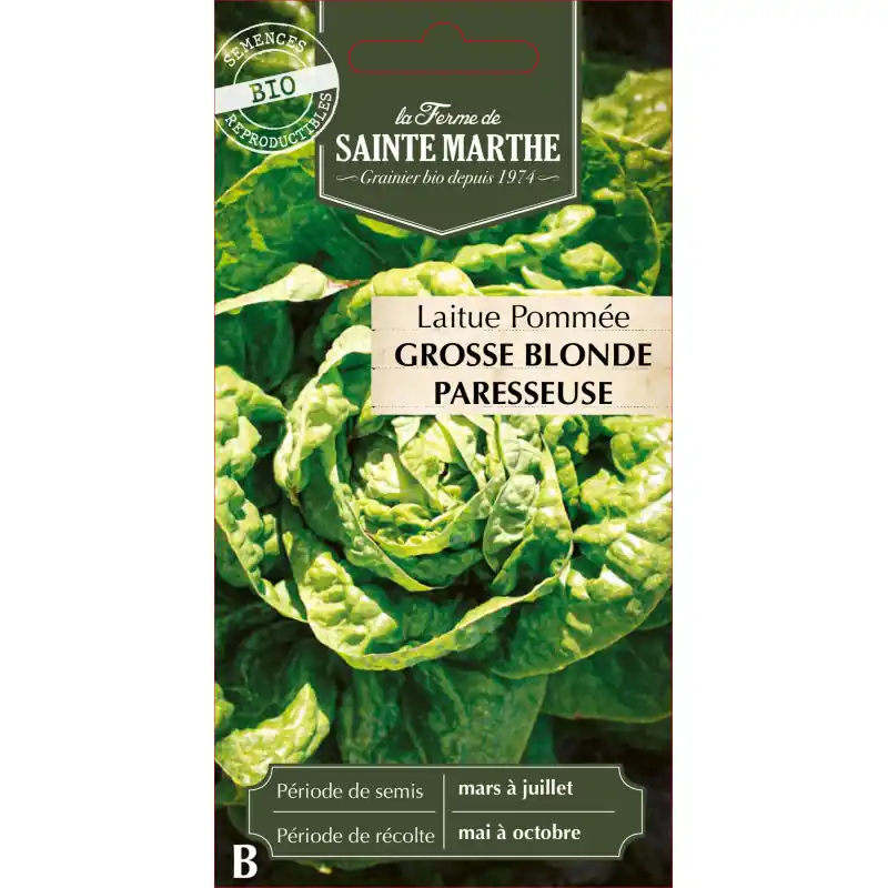 Laitue pommée grosse blde paresse bio – semences sainte marthe – graines à semer Seulement Aujourd&rsquo;hui