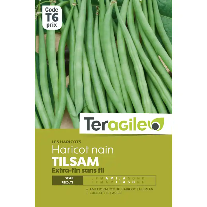 Pas Cher Haricot nain extra-fin sans fil tilsam 200,00 g