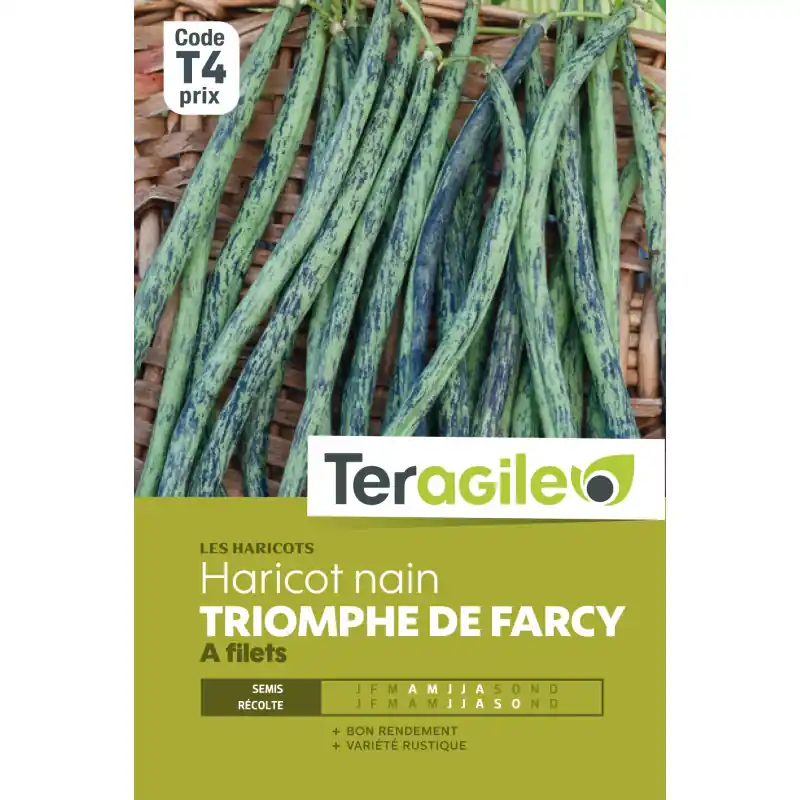 Haricot nain a filets triomphe de farcy 200,00 g Achetez Aujourd&rsquo;hui
