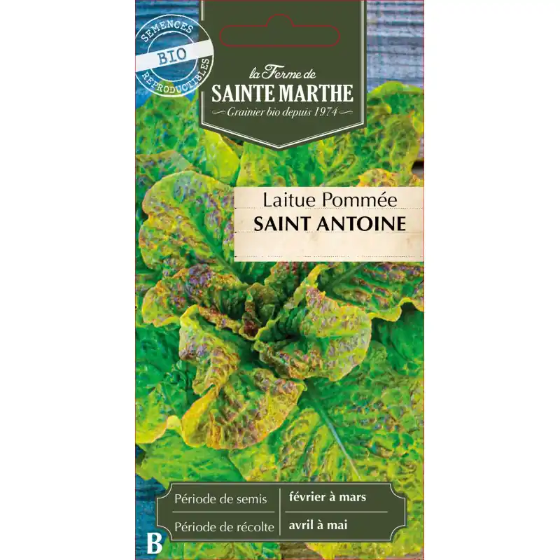 Laitue pommee saint antoine bio de sainte marthe - fraîcheur et saveur 100% naturel - graines à semer Marque