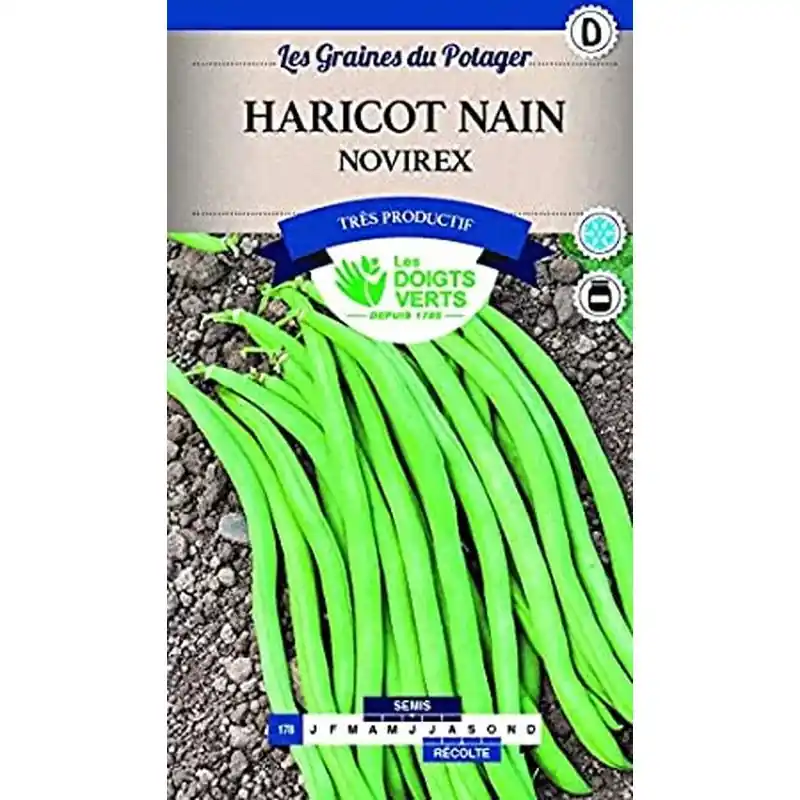 Haricot nain novirex – sachet de graines 200g – les doigts verts Prix Cassé