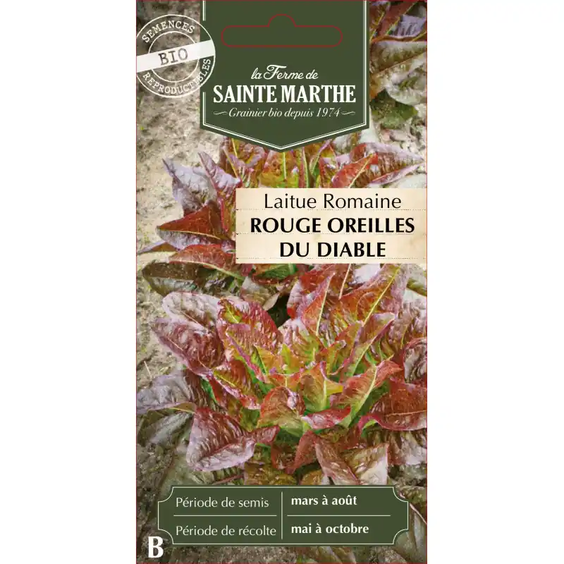 Laitue rouge oreille du diable bio sainte marth fraîche et croquante – graines à semer Bon Marché