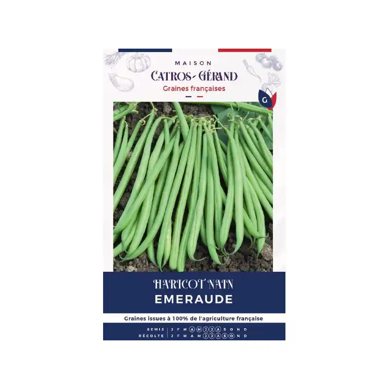 Prix Bas /Graines de haricot nain emeraude 150g