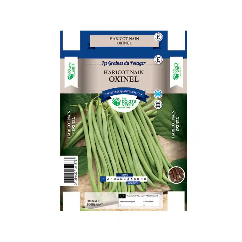 Meilleure Vente Haricot nain oxinel – sachet de graines 200g – les doigts verts