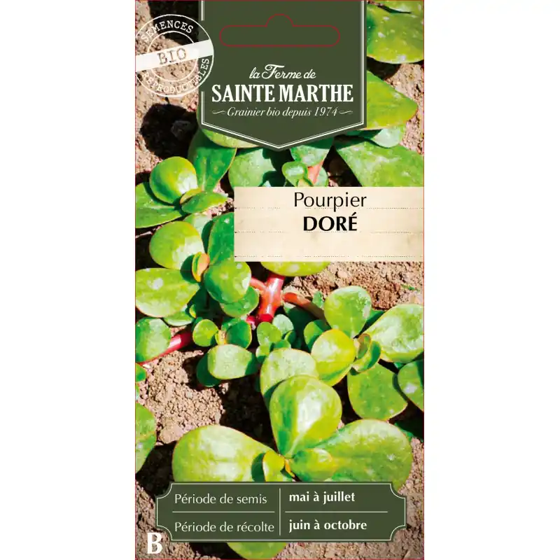 Must-Have Pourpier doré bio de la ferme sainte marthe – plante médicinale et aromatique – graines à semer