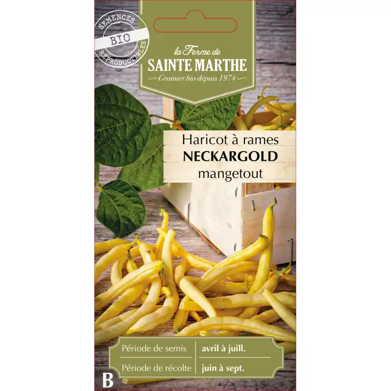 Prix Réduit Haricot à rame necka gold 10g – semences bio pour jardin potager – graines à semer