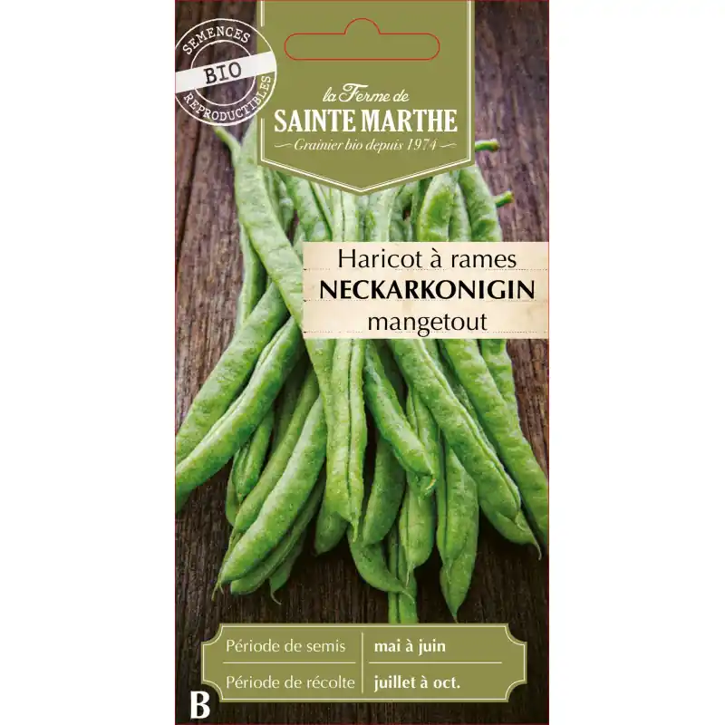 Haricot à rame neckarkoningin 10g - semences bio sainte marthe - graines à semer Super Prix