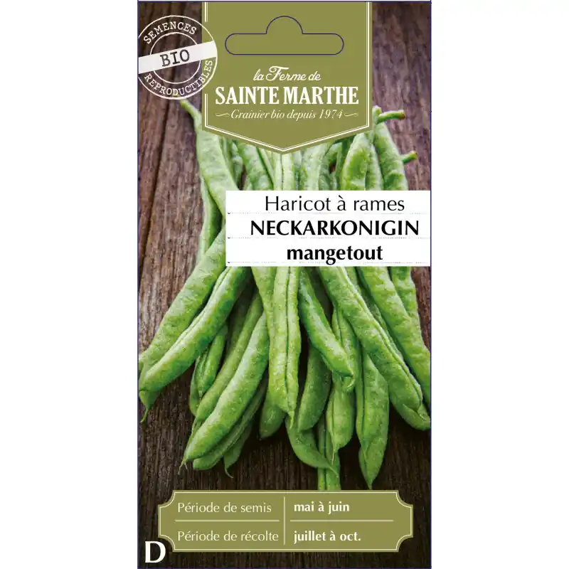 Haricot à rame neckarkoningin 80g – sainte marthe, graines bio pour potager Prix Promo