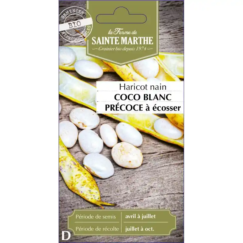 Haricot coco blanc précoce sainte marthe – graines de légumes bio Nouvelle Collection
