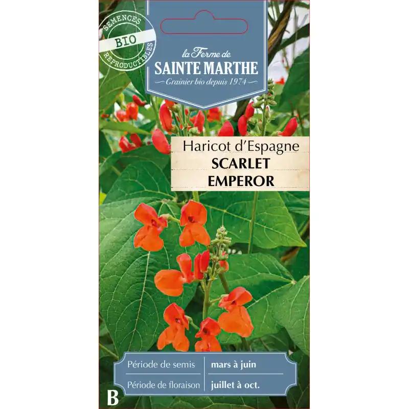 Haricot despagne bio de la ferme sainte marthe, récolté avec soin – graines à semer Seulement Aujourd&rsquo;hui