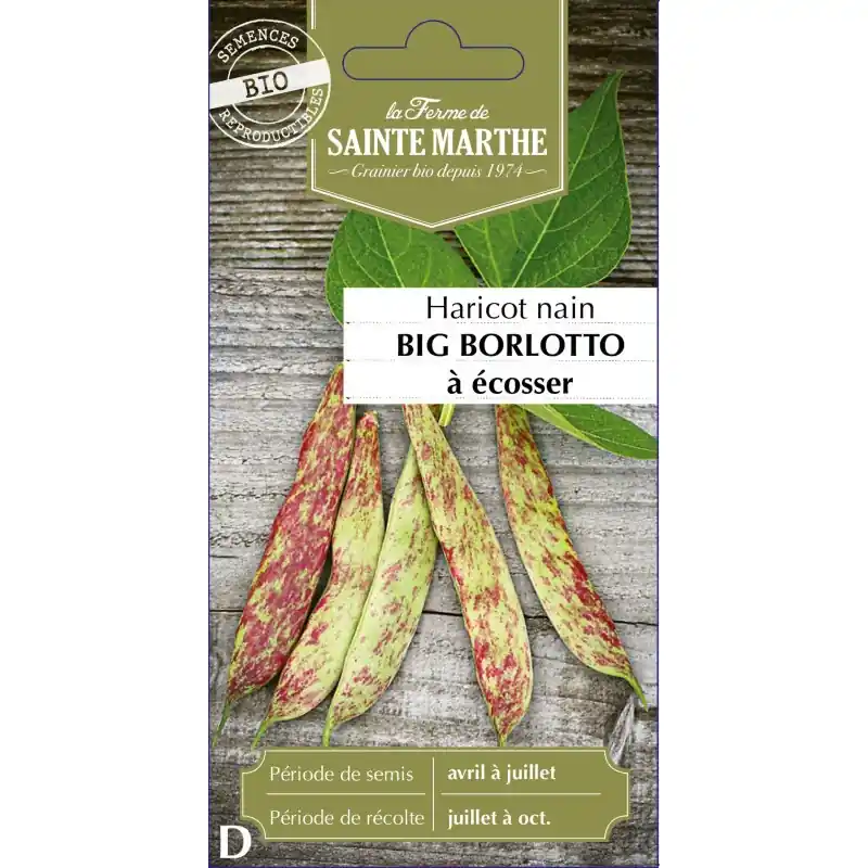 Promotion Saisonnière Haricot nain big borl écosseur – sainte marthe, légume bio pour jardinager – graines à semer