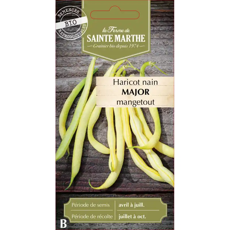 Vente Directe Haricot nain beurre major 10g – graines de sainte marthe bio