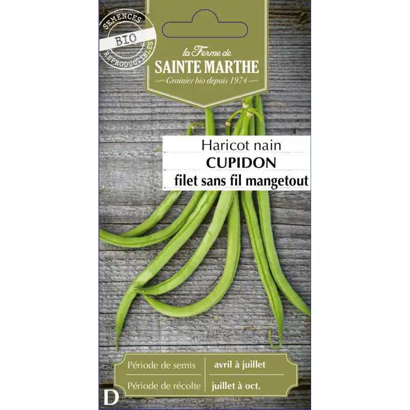 Haricot nain filet cupidón bio - cultivez la fraîcheur de sainte marthe - graines à semer Expédié Aujourd'hui