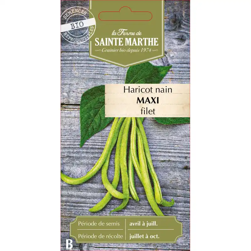 Haricot nain filet maxi 10g – semences sainte marthe pour jardinage bio – graines à semer Dernier Modèle
