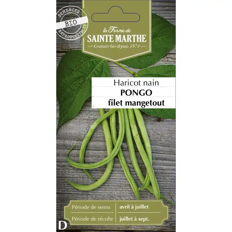 Haricot nain filet pongo bio – légumes de la ferme sainte marth – graines à semer Offre Spéciale