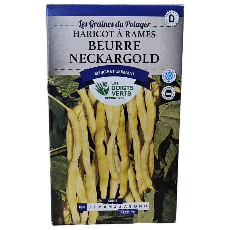 Pas Cher HARICOT Rame Beurre Neckargold – graines 150g – Les doigts verts