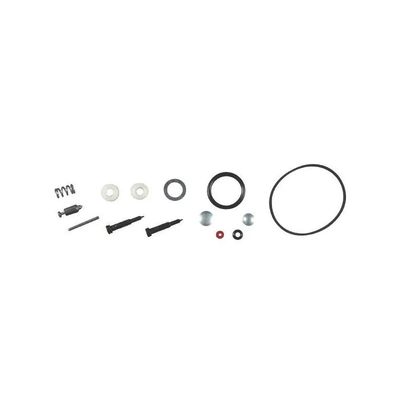 Kit réparation carburateur Briggs et Stratton Dernière Chance
