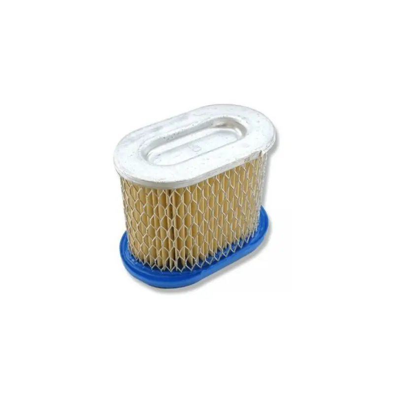 Filtre à air moteur Briggs Stratton Solde