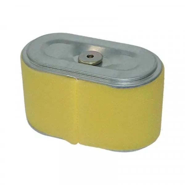 Livraison Express Filtre à air tondeuse moteur Honda GX160